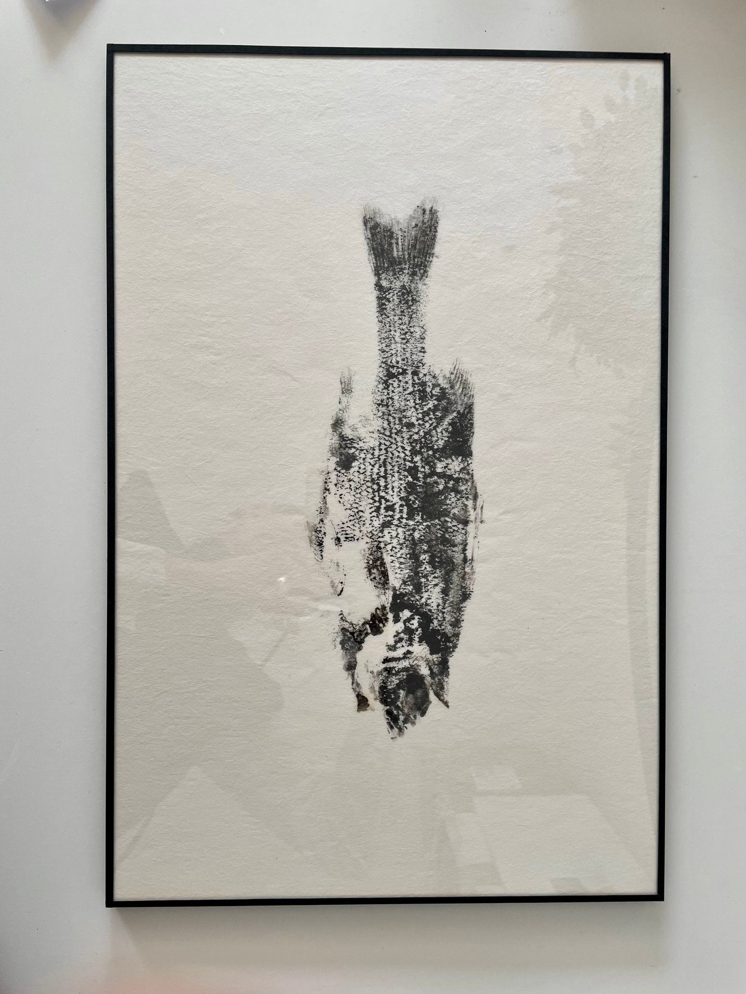 Gyotaku Lubina