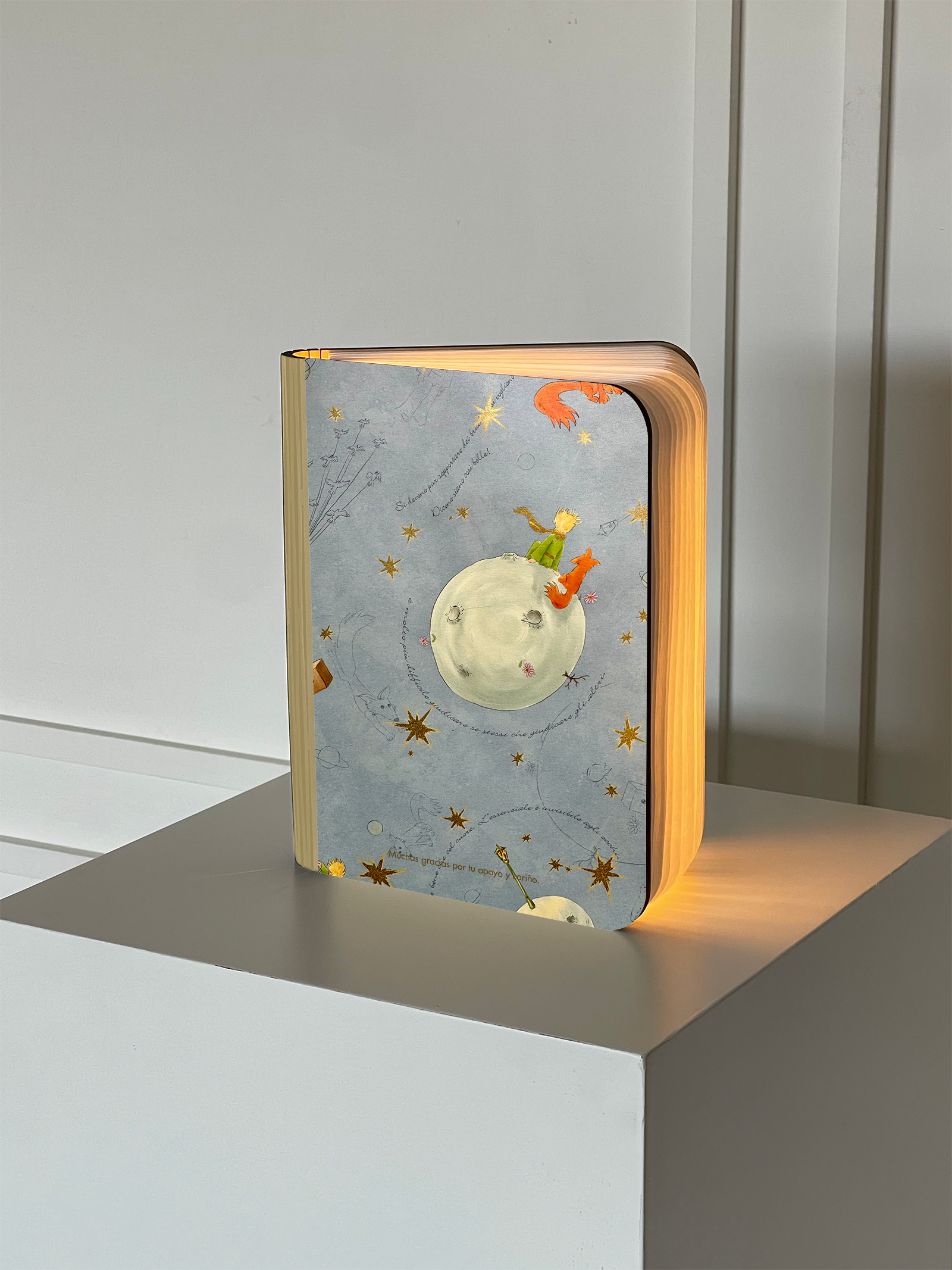 Libro de Luz con Firmas Principito Gold